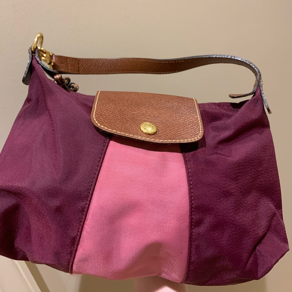 Mini-ish Long-Champ bag